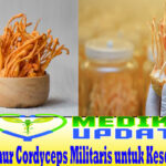 Manfaat Jamur Cordyceps Militaris untuk Kesehatan Tubuh