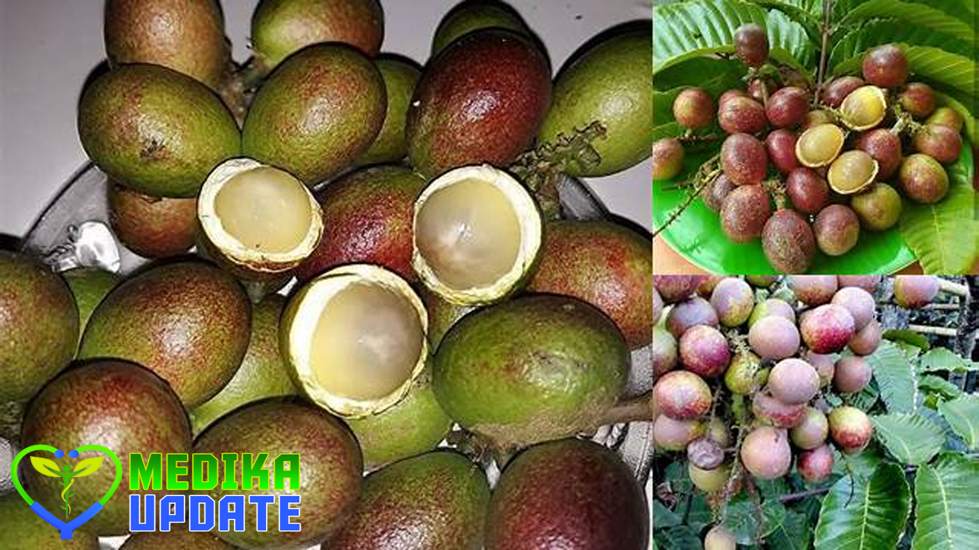 4 Manfaat Buah Matoa yang Perlu Diketahui